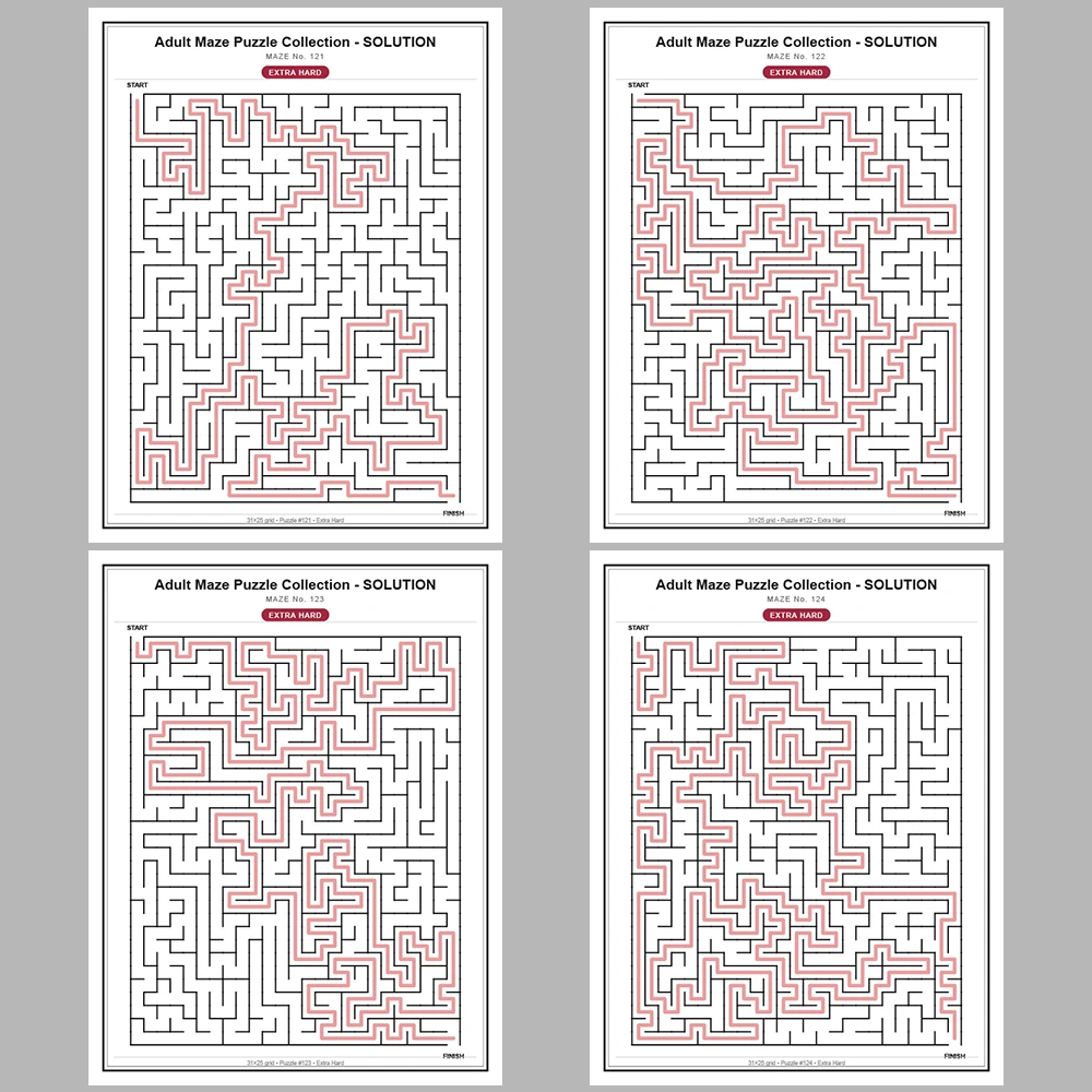 Maze Puzzle Extra Hard 50 Pages of Puzzles – Vol. 3