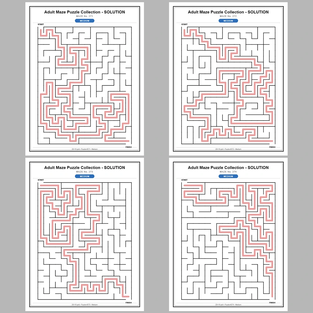 Maze Puzzle Medium 50 Pages of Puzzles – Vol. 6