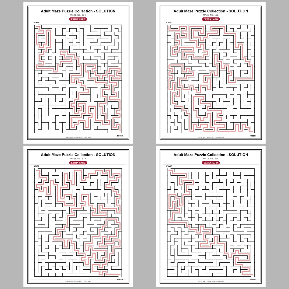 Maze Puzzle Extra Hard 50 Pages of Puzzles – Vol. 11