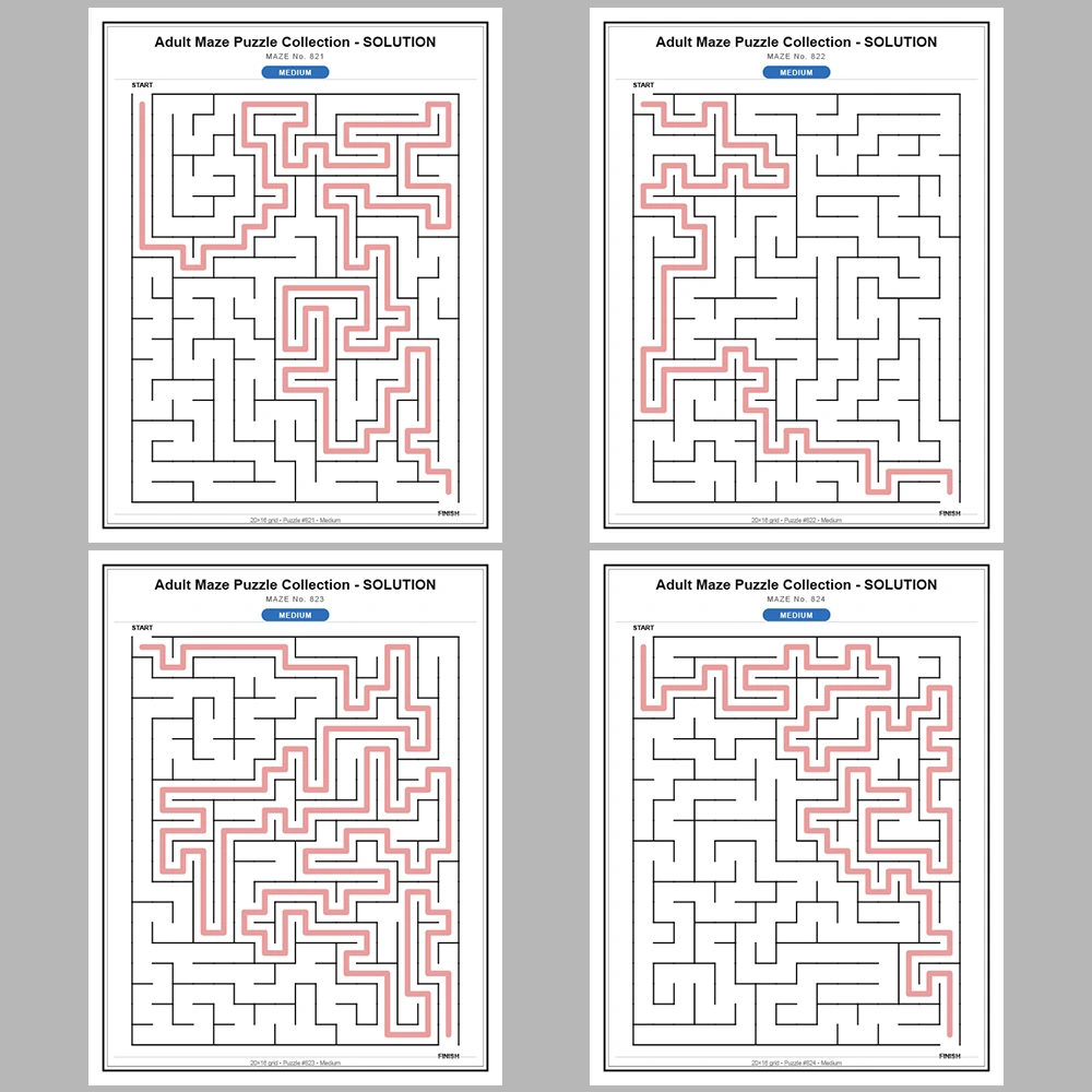 Maze Puzzle Medium 50 Pages of Puzzles – Vol. 17