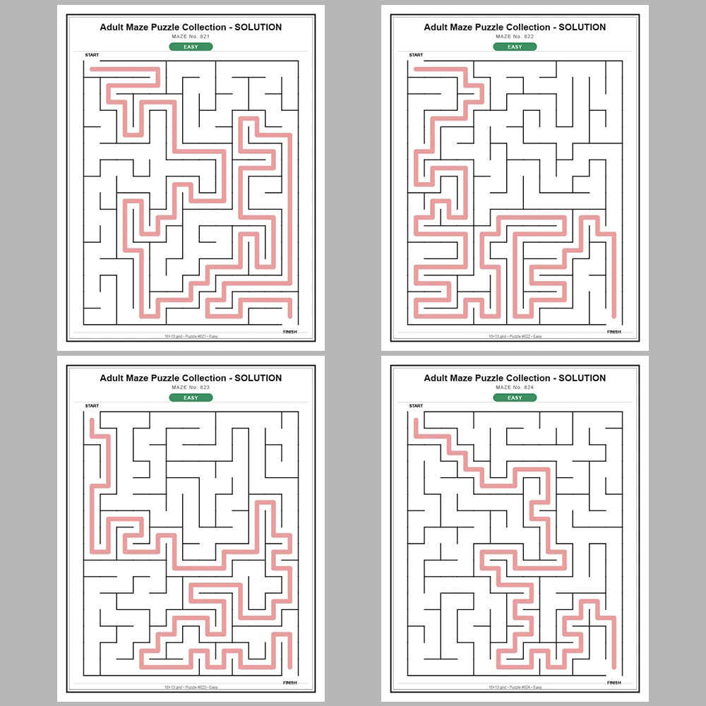 Maze Puzzle Easy 50 Pages of Puzzles – Vol. 17