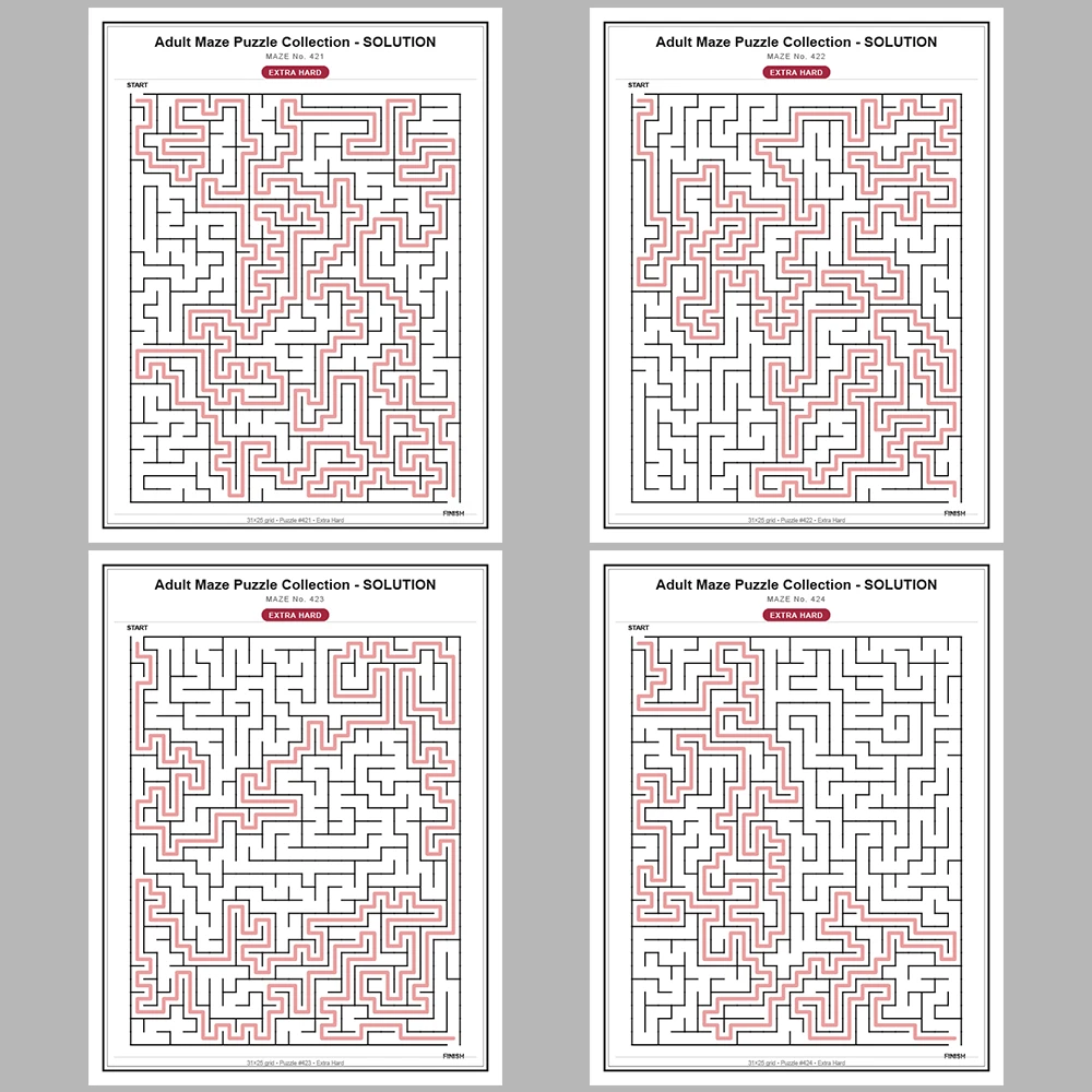 Maze Puzzle Extra Hard 50 Pages of Puzzles – Vol. 9