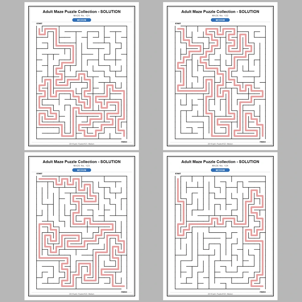 Maze Puzzle Medium 50 Pages of Puzzles – Vol. 3