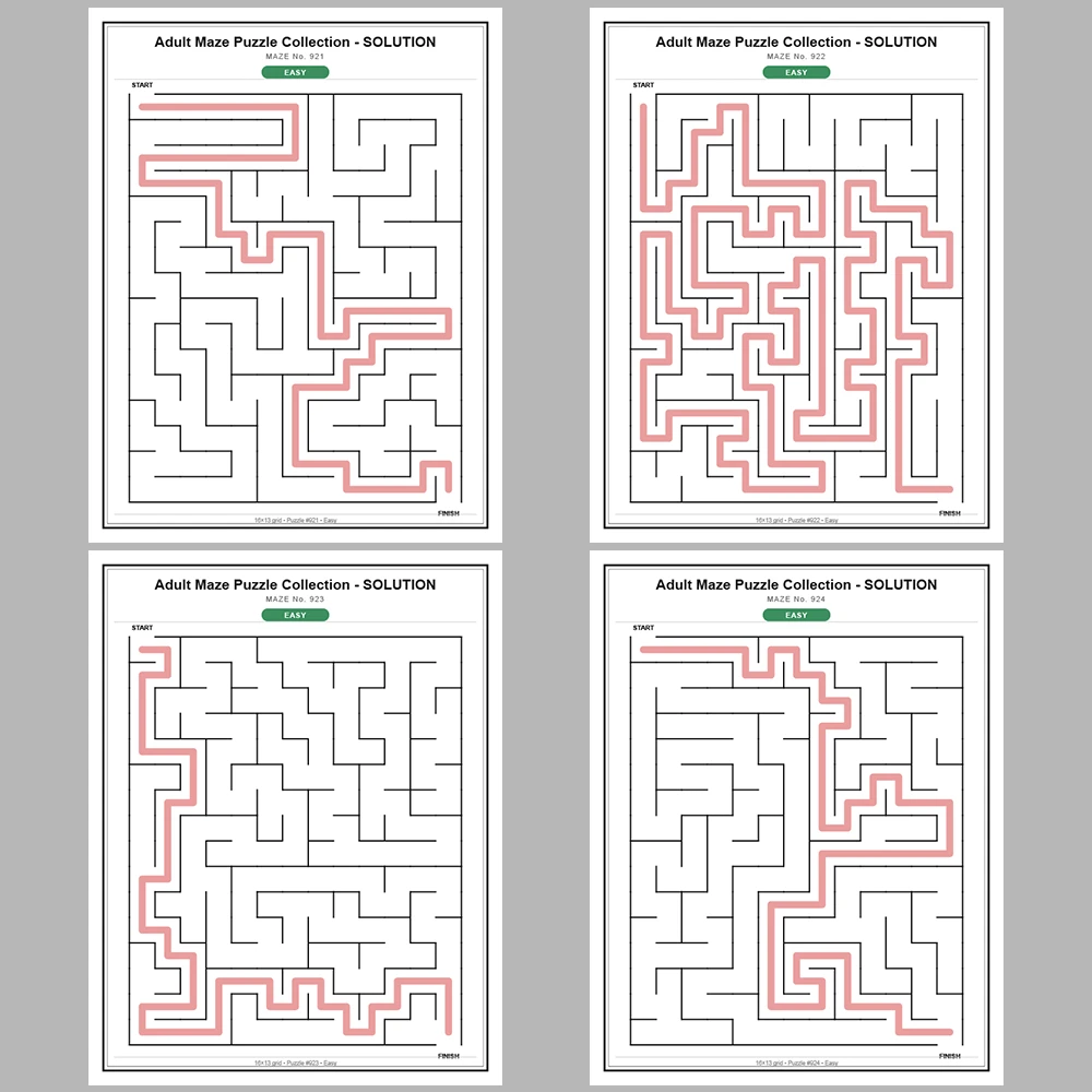 Maze Puzzle Easy 50 Pages of Puzzles – Vol. 19