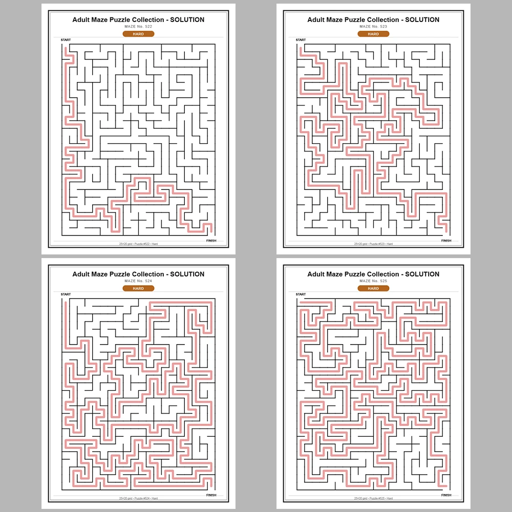 Maze Puzzle Hard 250 Pages of Puzzles – Vol. 3