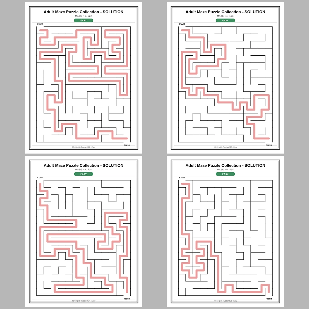 Maze Puzzle Easy 250 Pages of Puzzles – Vol. 3