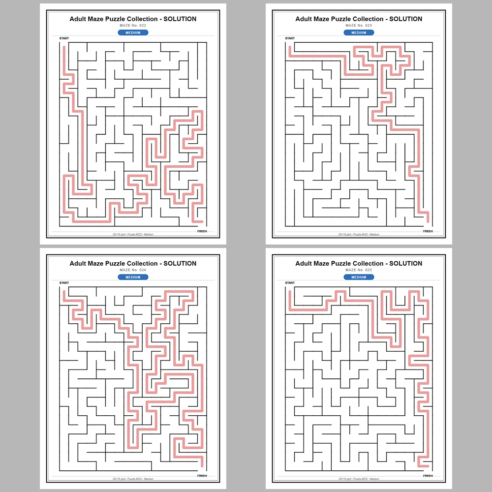 Maze Puzzle Medium 250 Pages of Puzzles – Vol. 1