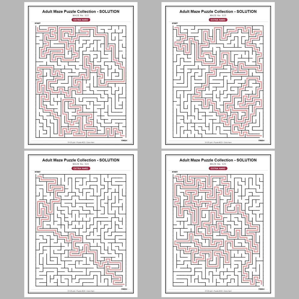 Maze Puzzle Extra Hard 250 Pages of Puzzles – Vol. 3