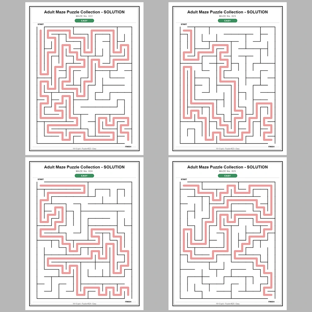 Maze Puzzle Easy 250 Pages of Puzzles – Vol. 1