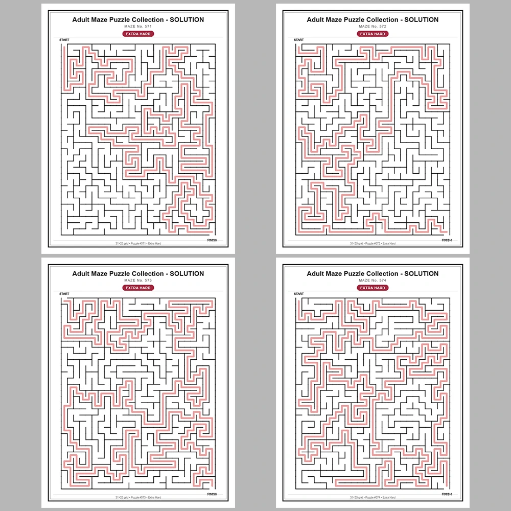 Maze Puzzle Extra Hard 50 Pages of Puzzles – Vol. 12