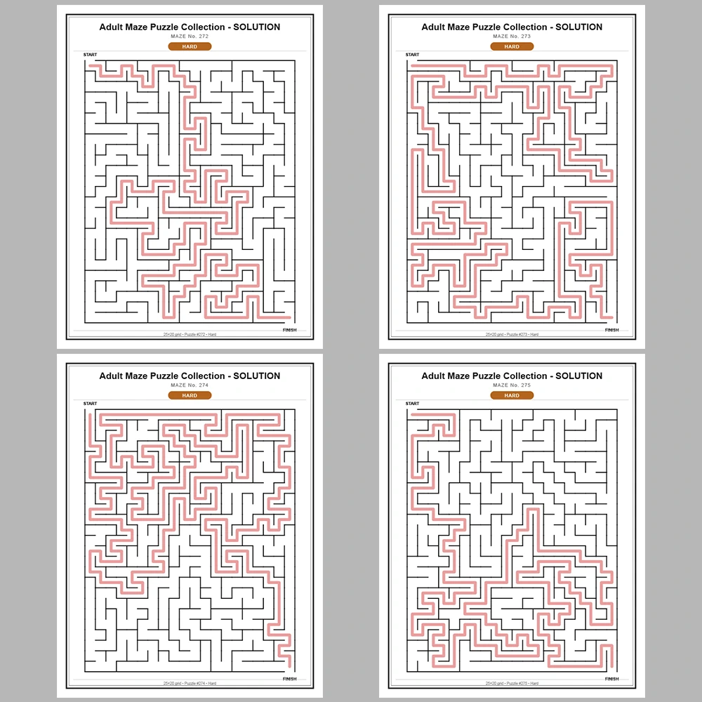 Maze Puzzle Hard 250 Pages of Puzzles – Vol. 2