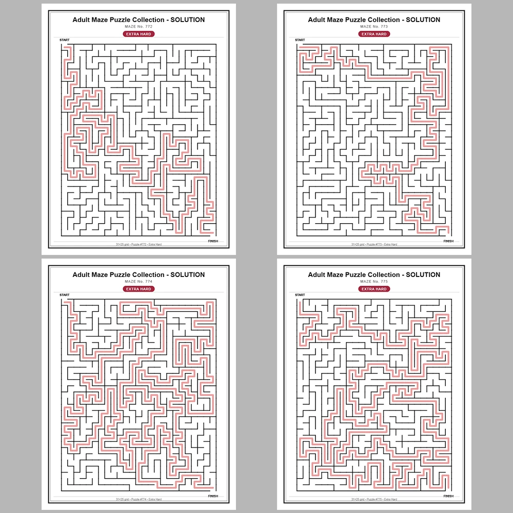 Maze Puzzle Extra Hard 250 Pages of Puzzles – Vol. 4