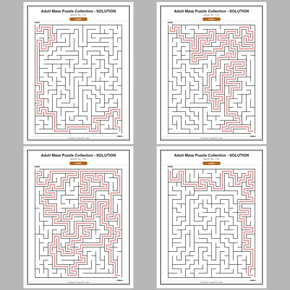 Maze Puzzle Hard 250 Pages of Puzzles – Vol. 4