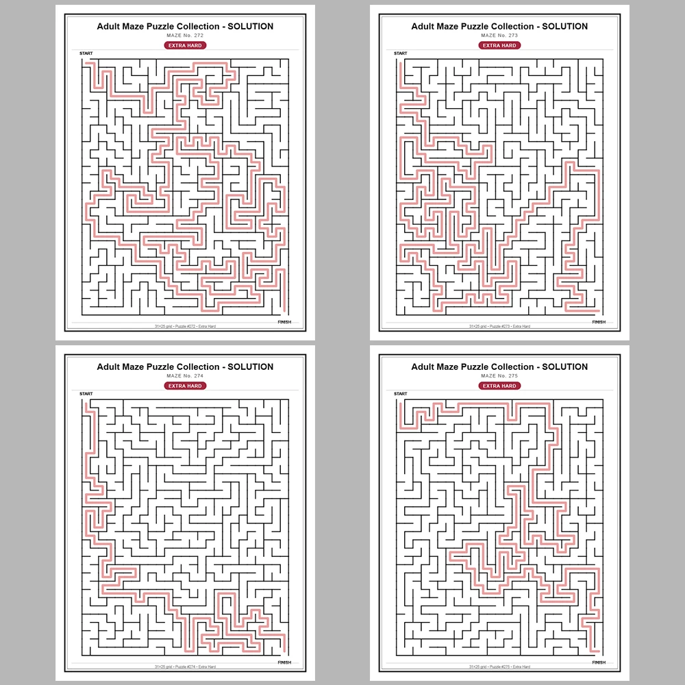 Maze Puzzle Extra Hard 250 Pages of Puzzles – Vol. 2