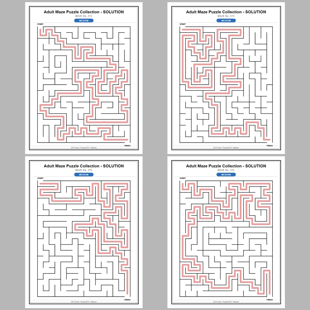 Maze Puzzle Medium 250 Pages of Puzzles – Vol. 2
