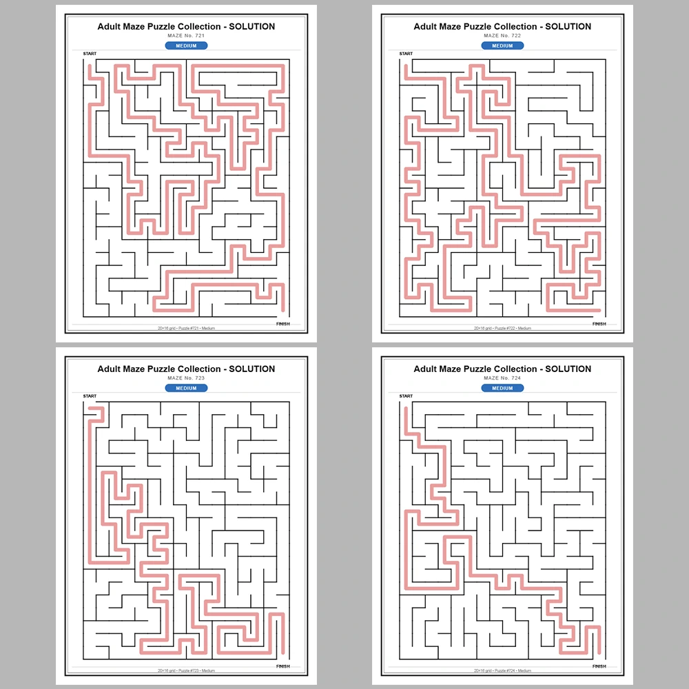 Maze Puzzle Medium 50 Pages of Puzzles – Vol. 15