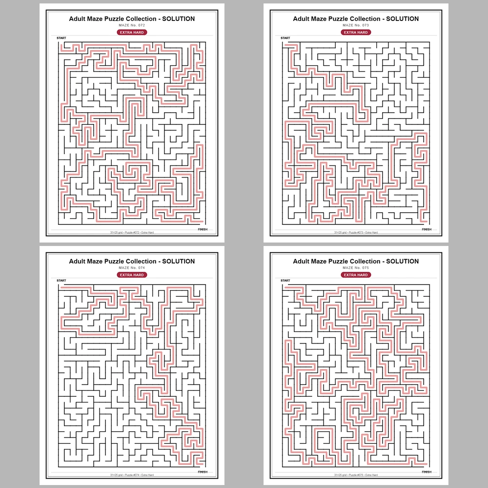 Maze Puzzle Extra Hard 50 Pages of Puzzles – Vol. 2