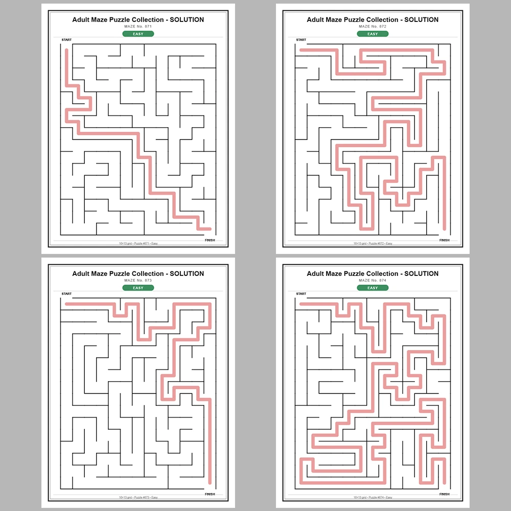 Maze Puzzle Easy 50 Pages of Puzzles – Vol. 18