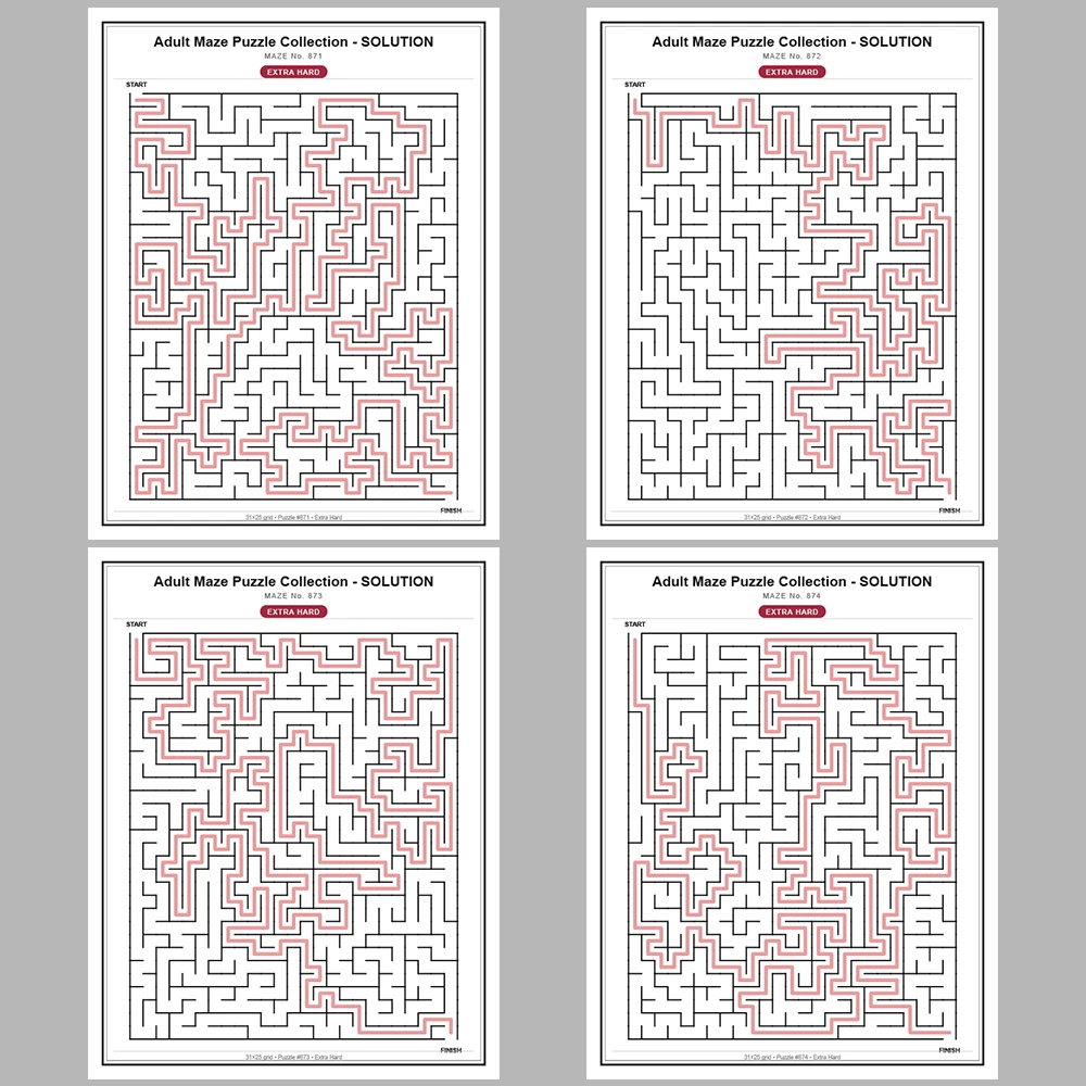 Maze Puzzle Extra Hard 50 Pages of Puzzles – Vol. 18