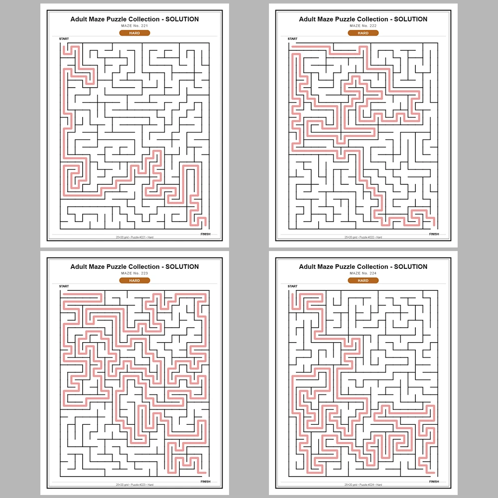 Maze Puzzle Hard 50 Pages of Puzzles – Vol. 5