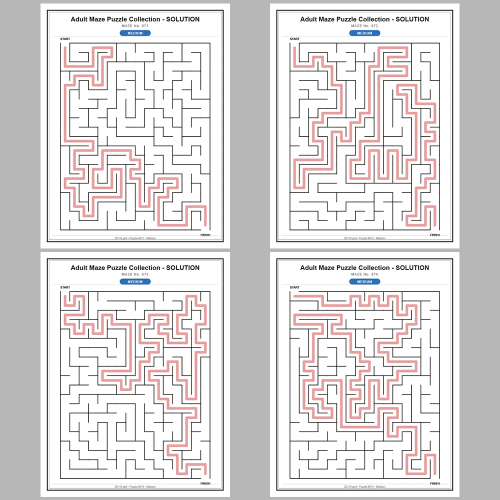 Maze Puzzle Medium 50 Pages of Puzzles – Vol. 18