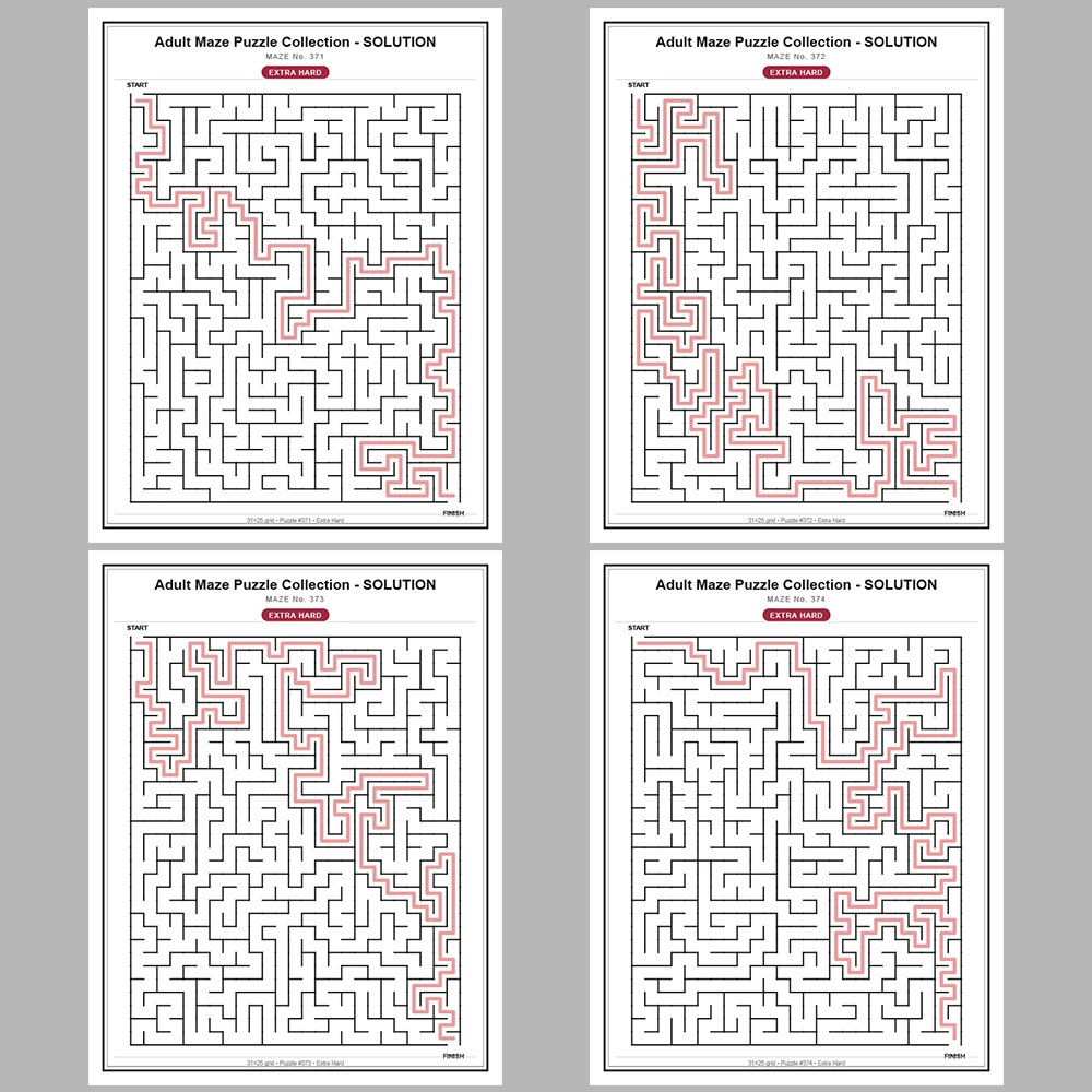 Maze Puzzle Extra Hard 50 Pages of Puzzles – Vol. 8