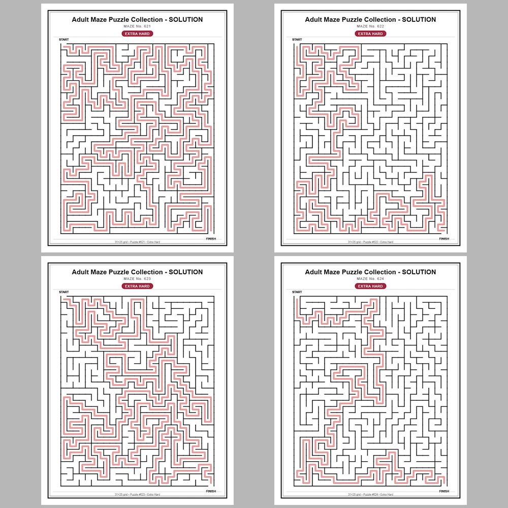 Maze Puzzle Extra Hard 50 Pages of Puzzles – Vol. 13