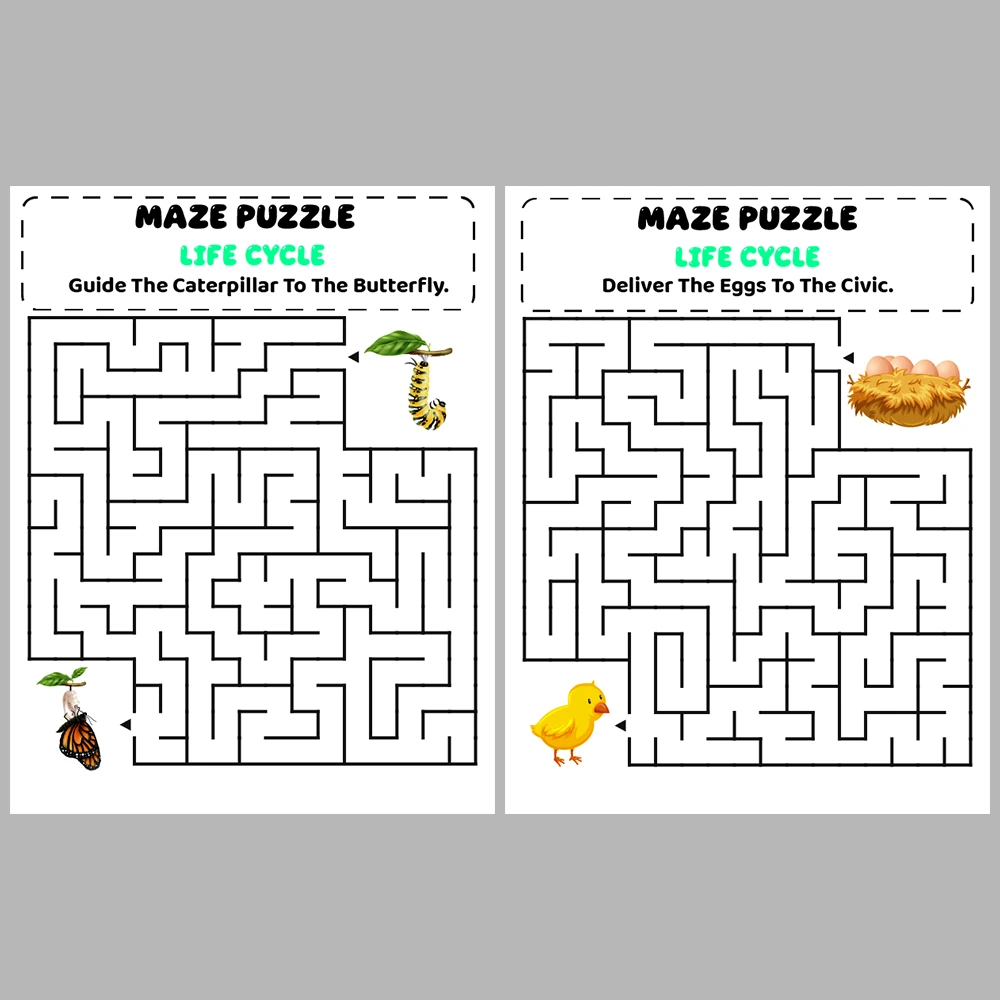 Life Cycle Kids Maze Puzzle 10 Pages of Puzzles