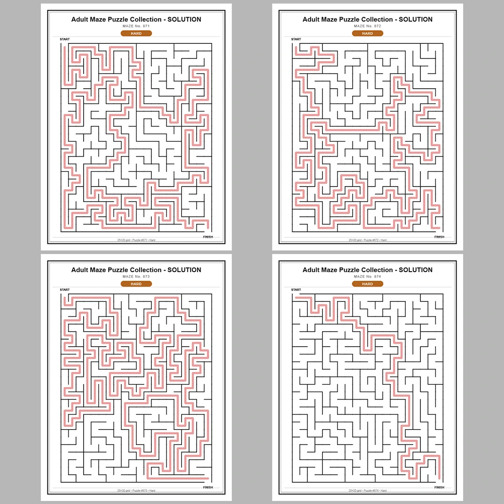 Maze Puzzle Hard 50 Pages of Puzzles – Vol. 18