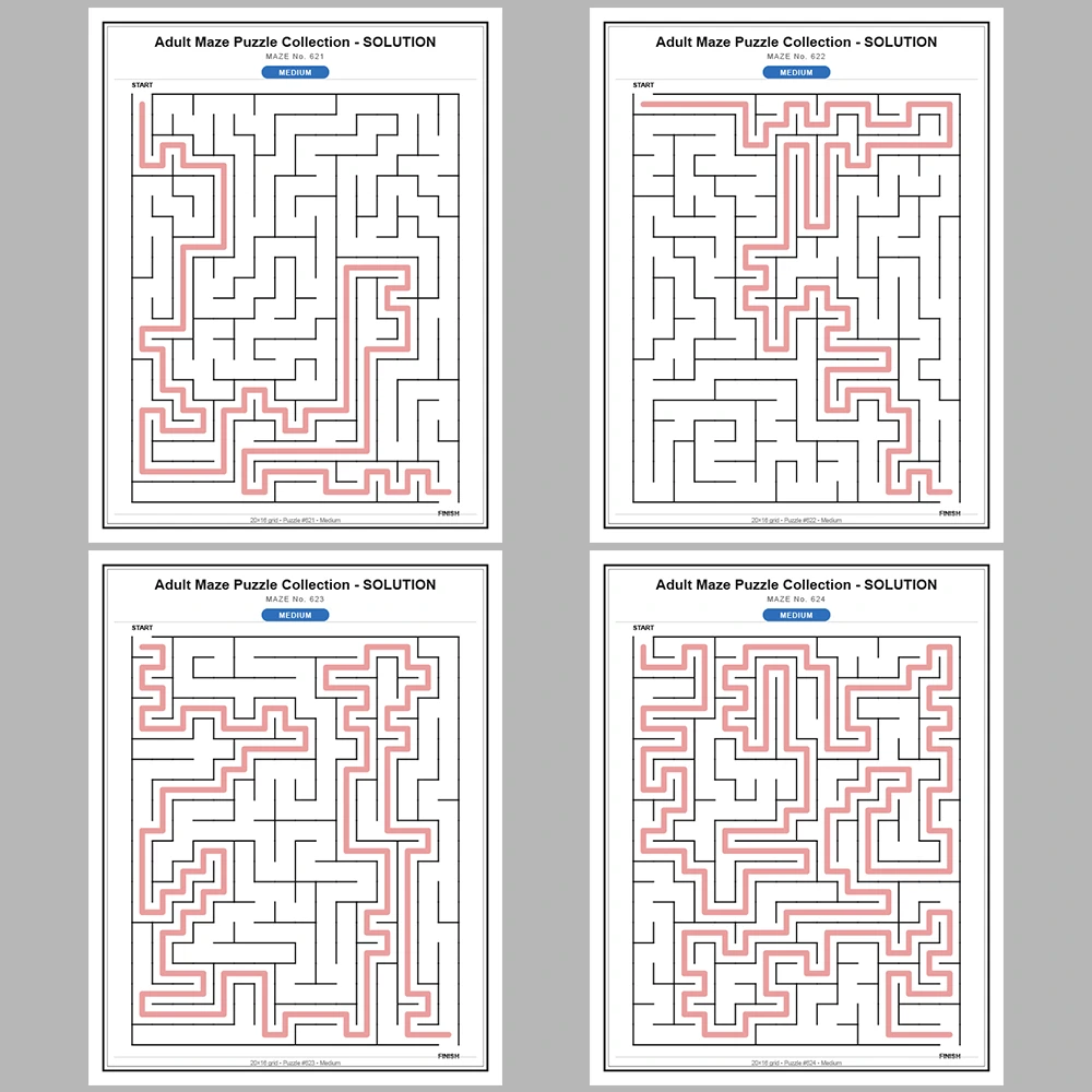 Maze Puzzle Medium 50 Pages of Puzzles – Vol. 13