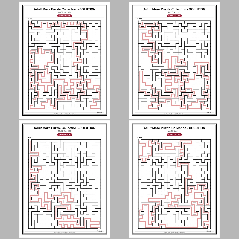 Maze Puzzle Extra Hard 50 Pages of Puzzles – Vol. 19