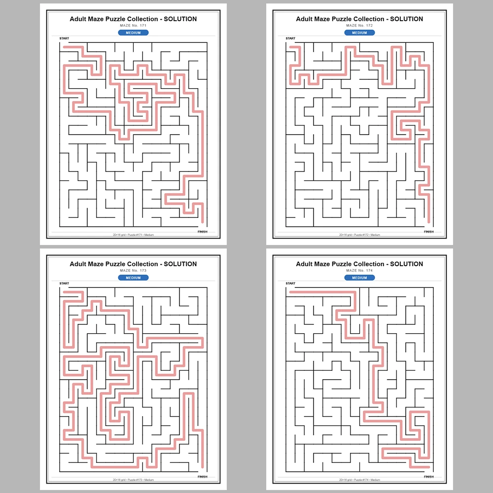 Maze Puzzle Medium 50 Pages of Puzzles – Vol. 4