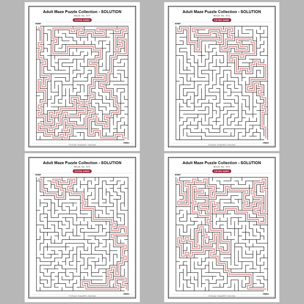 Maze Puzzle Extra Hard 50 Pages of Puzzles – Vol. 20