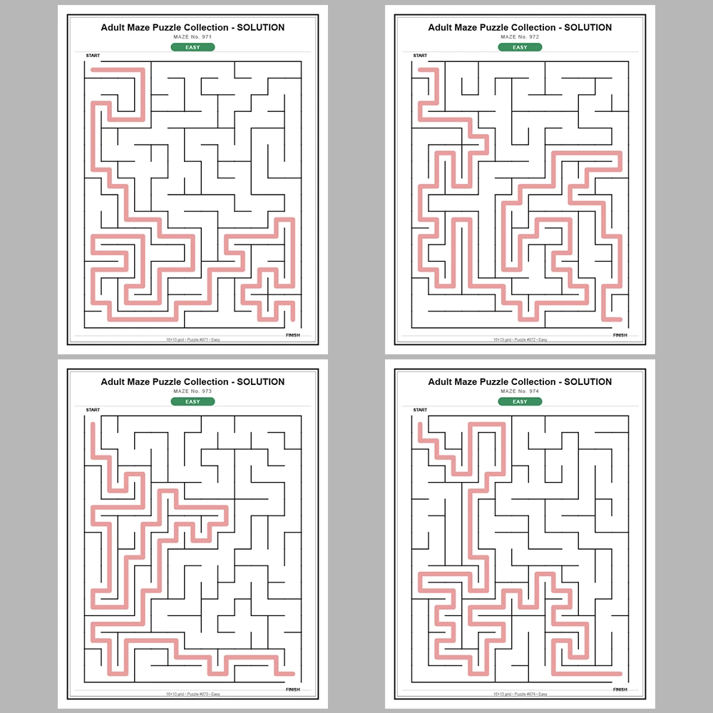 Maze Puzzle Easy 50 Pages of Puzzles – Vol. 20
