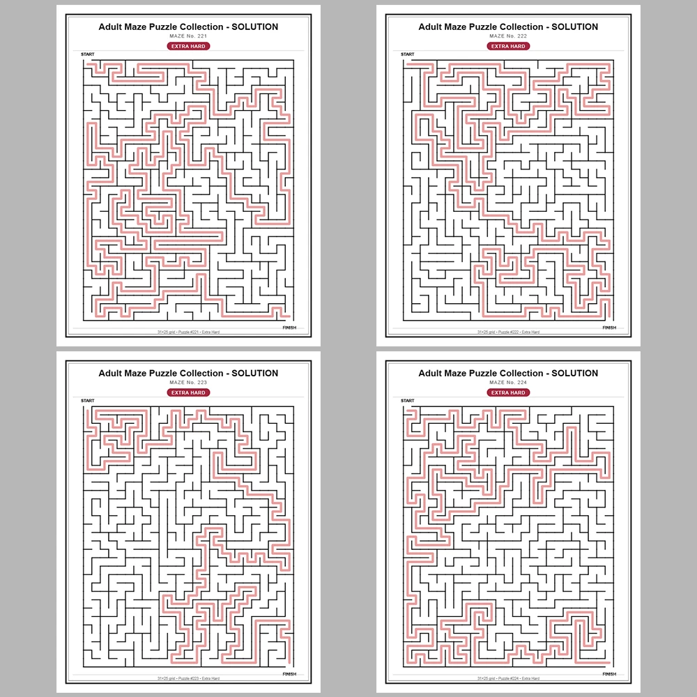 Maze Puzzle Extra Hard 50 Pages of Puzzles – Vol. 5