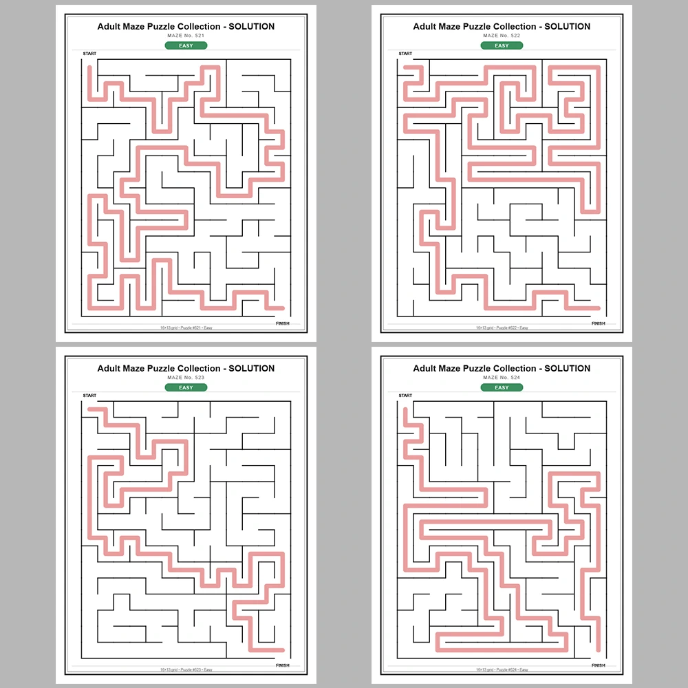 Maze Puzzle Easy 50 Pages of Puzzles – Vol. 11