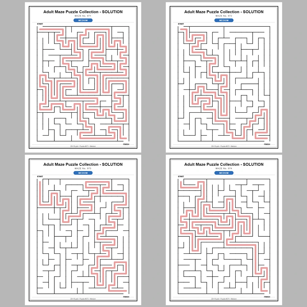 Maze Puzzle Medium 50 Pages of Puzzles – Vol. 20