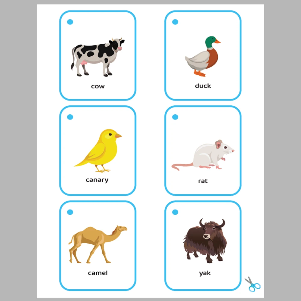 Animals 48 Flashcards