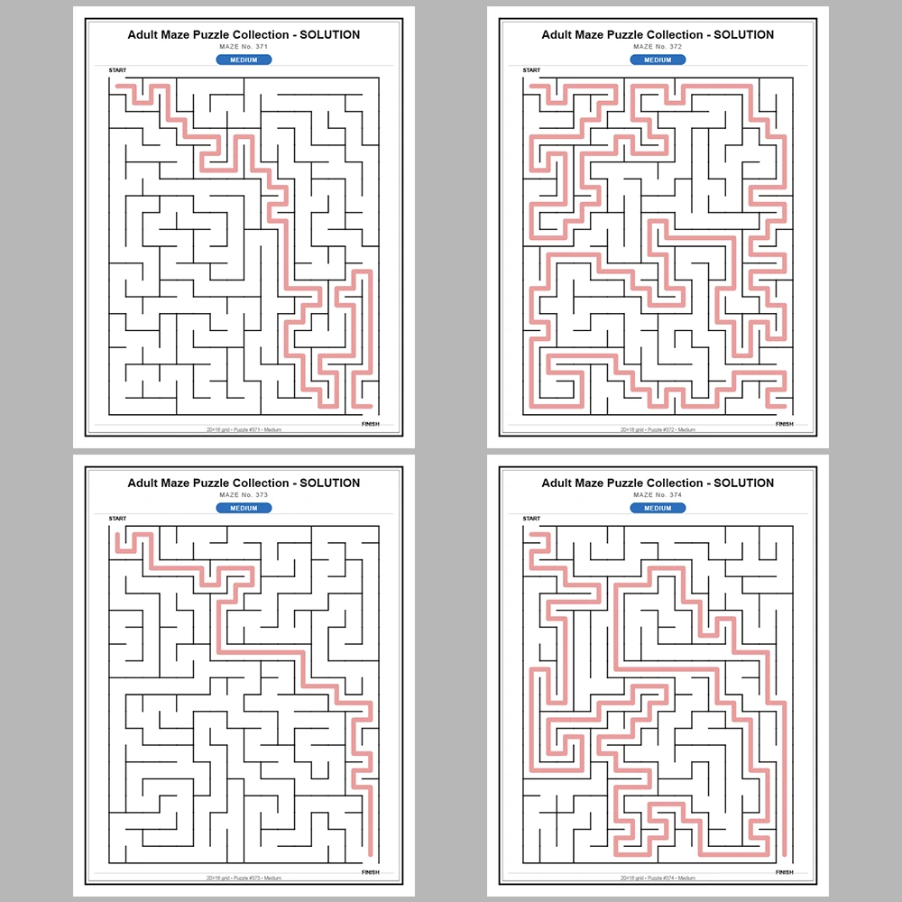 Maze Puzzle Medium 50 Pages of Puzzles – Vol. 8