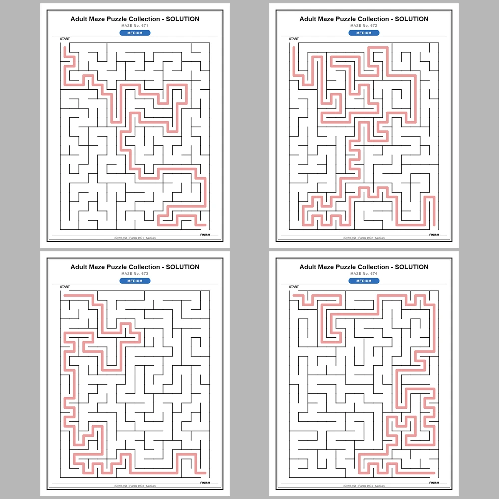 Maze Puzzle Medium 50 Pages of Puzzles – Vol. 14