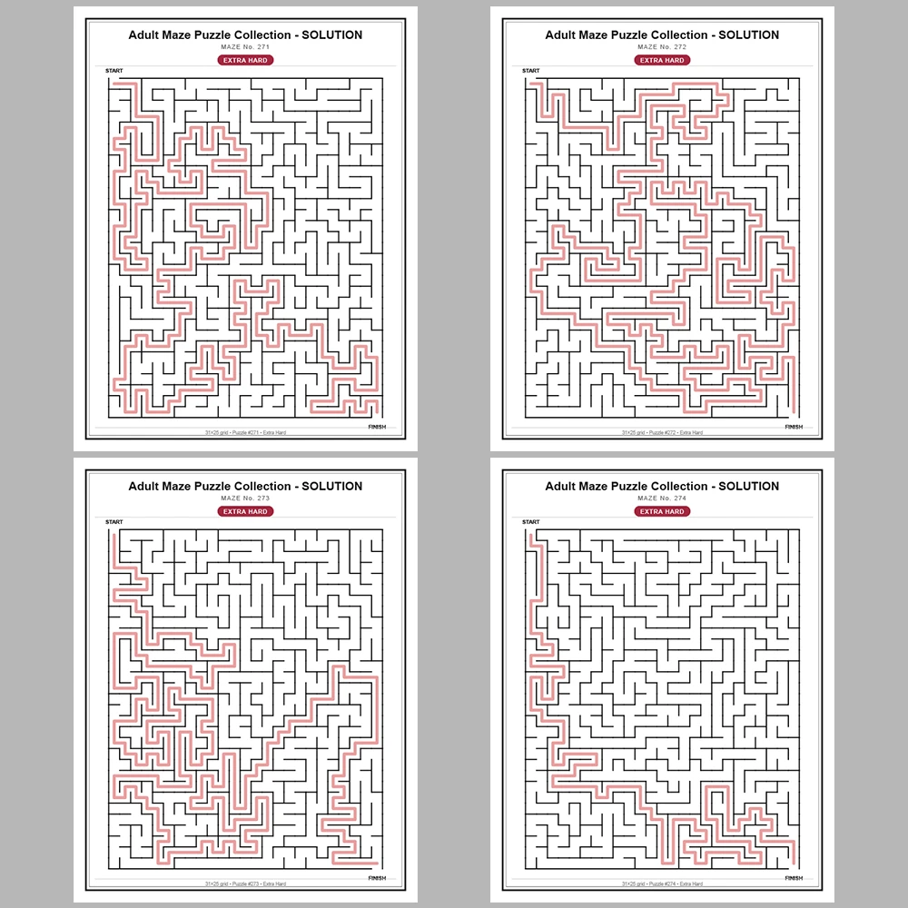 Maze Puzzle Extra Hard 50 Pages of Puzzles – Vol. 6