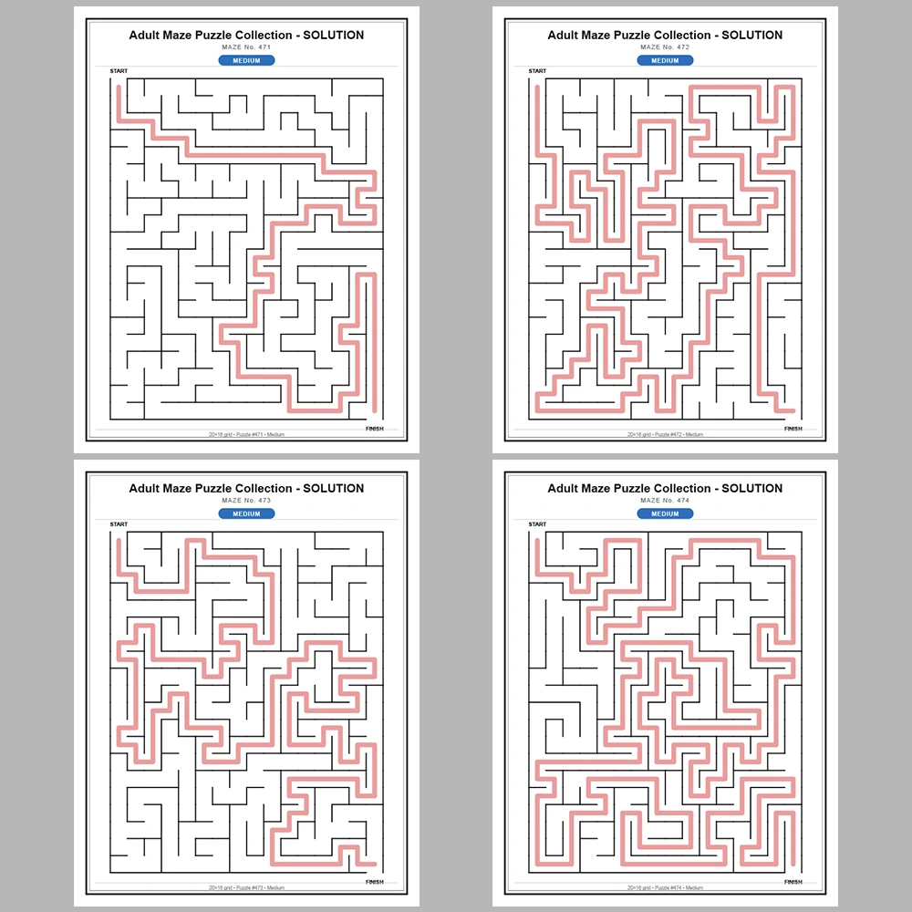 Maze Puzzle Medium 50 Pages of Puzzles – Vol. 10