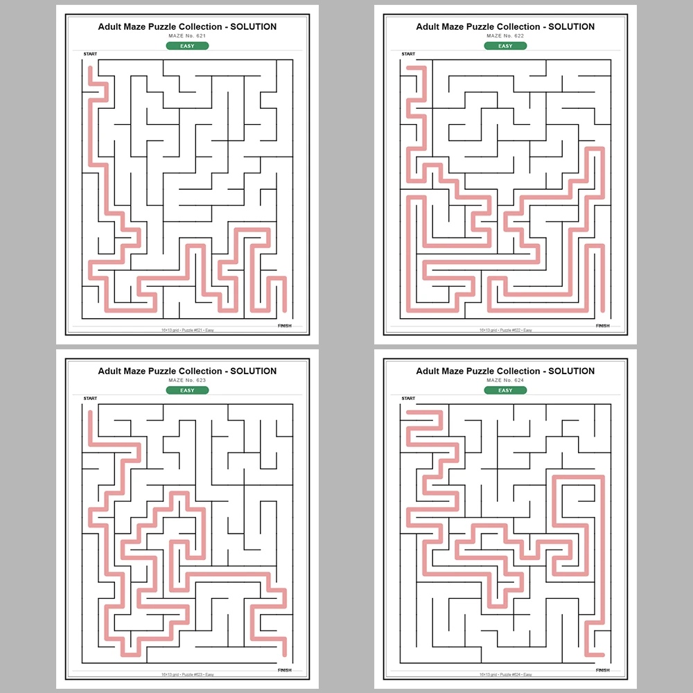 Maze Puzzle Easy 50 Pages of Puzzles – Vol. 13