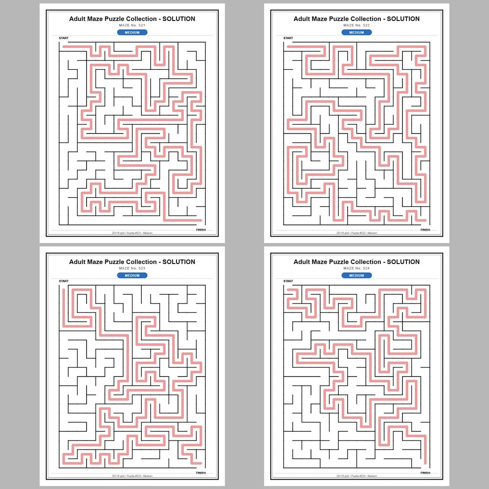 Maze Puzzle Medium 50 Pages of Puzzles – Vol. 11