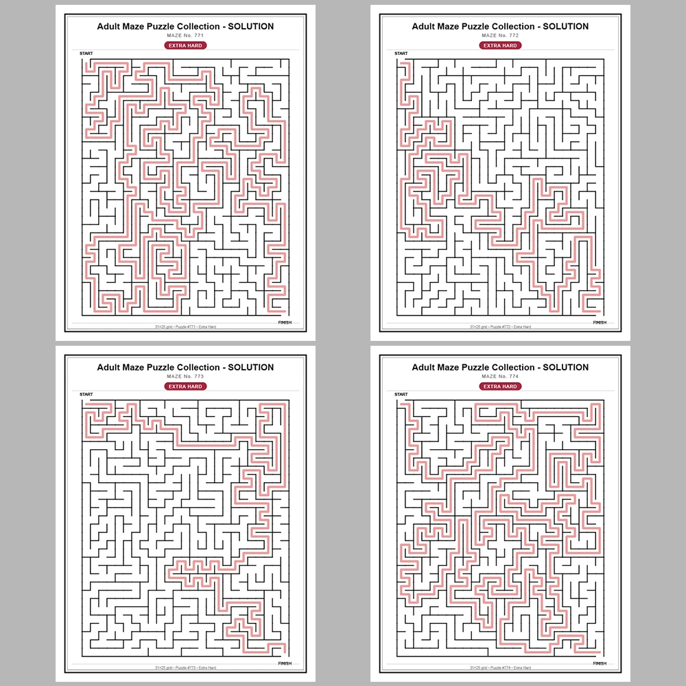 Maze Puzzle Extra Hard 50 Pages of Puzzles – Vol. 16