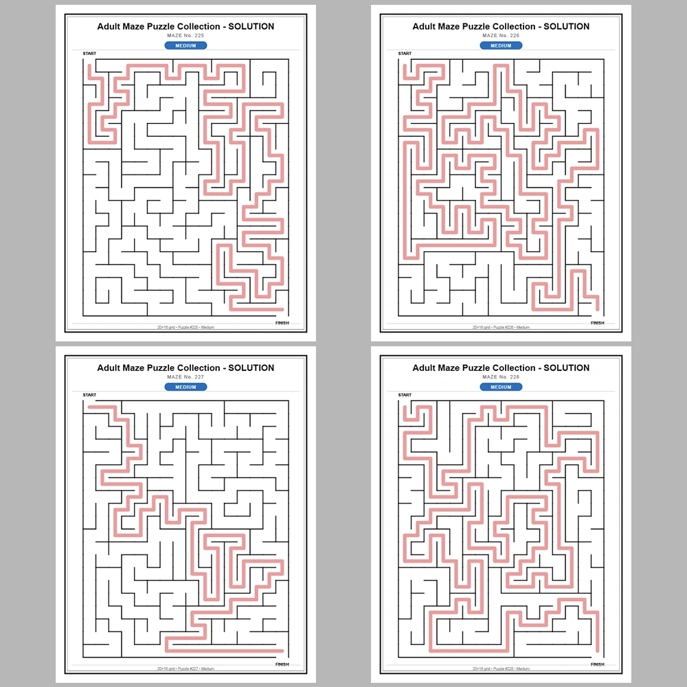Maze Puzzle Medium 50 Pages of Puzzles – Vol. 5