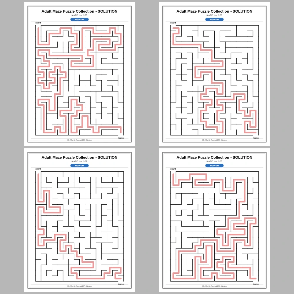 Maze Puzzle Medium 50 Pages of Puzzles – Vol. 19