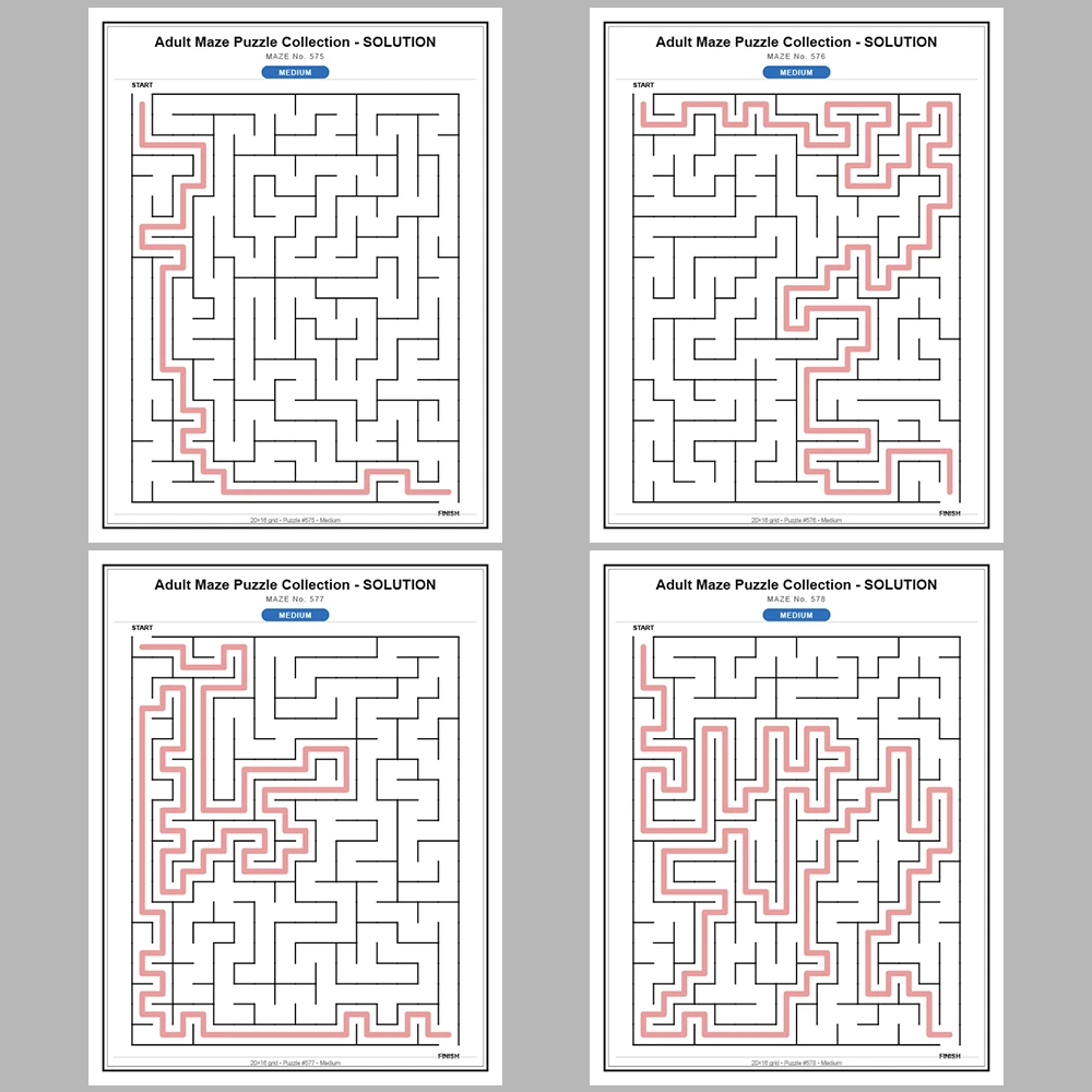Maze Puzzle Medium 50 Pages of Puzzles – Vol. 12