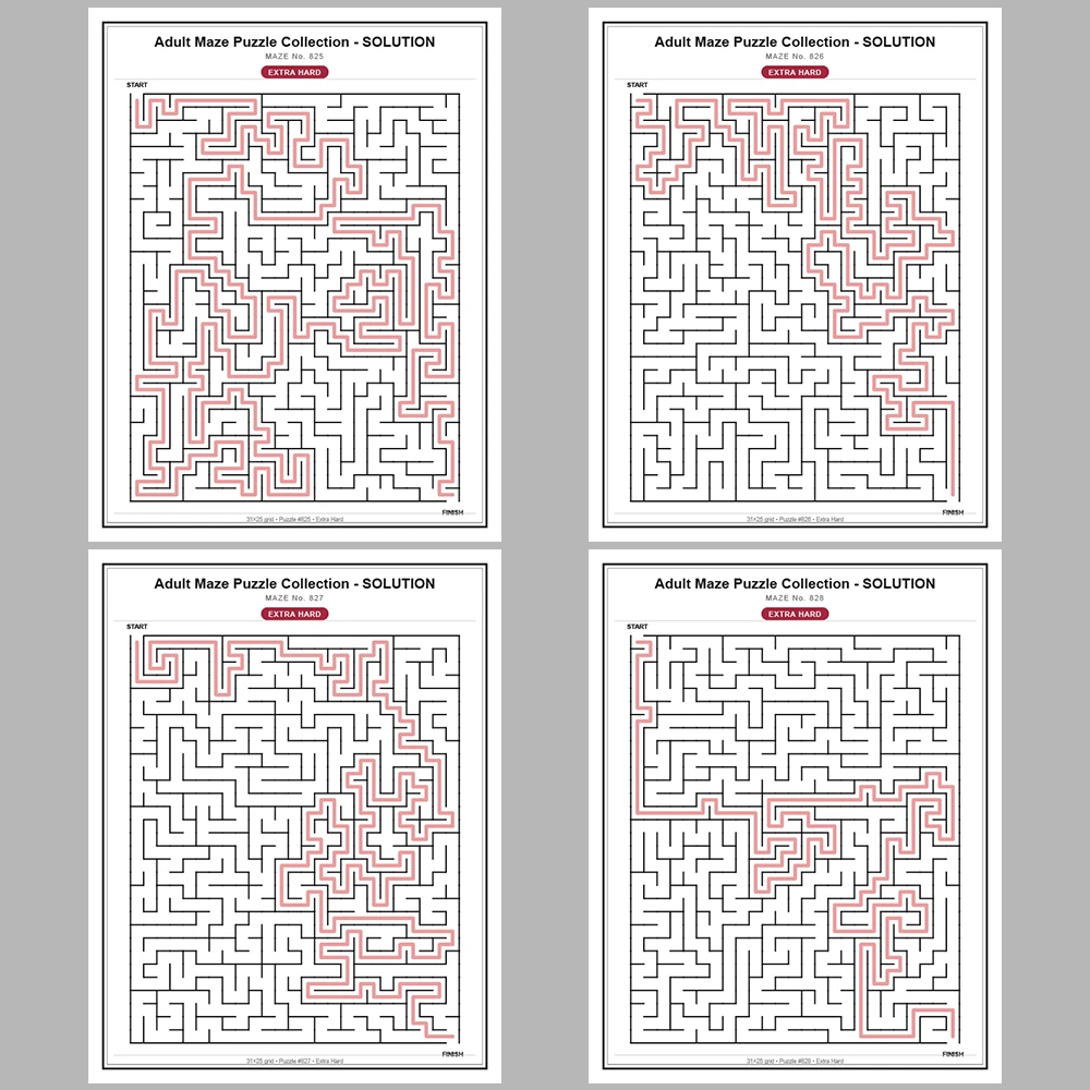Maze Puzzle Extra Hard 50 Pages of Puzzles – Vol. 17