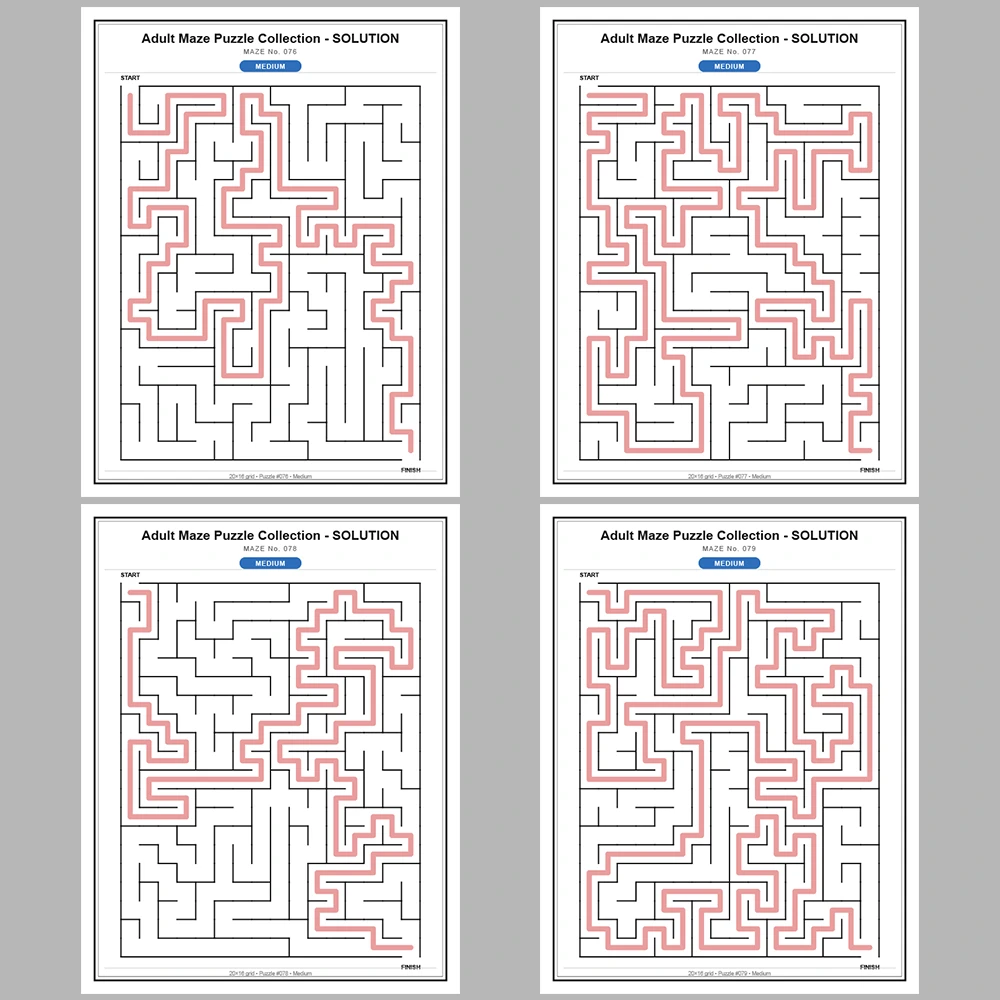 Maze Puzzle Medium 50 Pages of Puzzles – Vol. 2